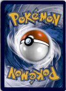 pokemon_karten_bibor_v_special_illustration_rare_asr_161_deutsch_back