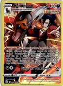 pokemon_karten_hundemon_illustration_rare_brs_tg10_deutsch