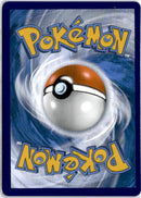 pokemon_karten_pikachu_v_full_art_viv_170_englisch_back