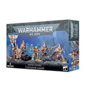 warhammer-40k-adeptus-custodes-custodian-guard-box