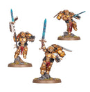 warhammer-40k-combat-patrol-blood-angels-sanguinary-guard-set