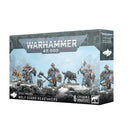 warhammer-40k-space-wolves-wolf-guard-headtakers-box