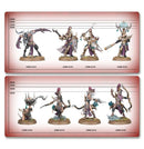 warhammer-age-of-sigmar-battleforce-hedonites-of-slaanesh-the-decadent-host-groessenvergleich