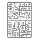 warhammer-age-of-sigmar-orruk-warclans-brutes-inhalt