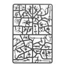 warhammer-age-of-sigmar-sylvaneth-kurnoth-hunters-inhalt-3
